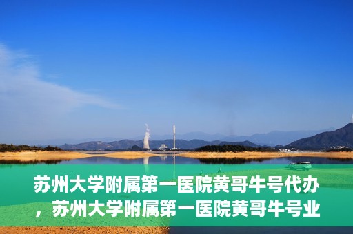 苏州大学附属第一医院黄哥牛号代办，苏州大学附属第一医院黄哥牛号业务代办攻略