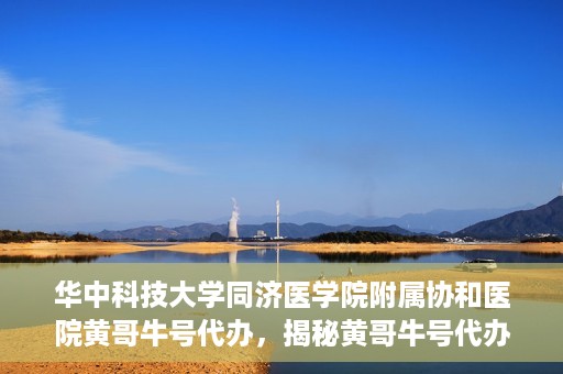 华中科技大学同济医学院附属协和医院黄哥牛号代办，揭秘黄哥牛号代办背后的故事，华中科技大学同济医学院附属协和医院就医新途径探索
