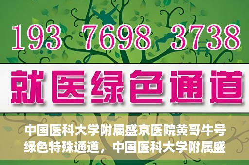 中国医科大学附属盛京医院黄哥牛号绿色特殊通道，中国医科大学附属盛京医院黄哥牛号，绿色特殊通道开启健康之门