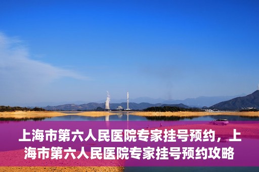 上海市第六人民医院专家挂号预约，上海市第六人民医院专家挂号预约攻略，一站式解决您的就医需求