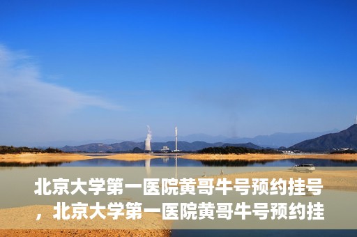 北京大学第一医院黄哥牛号预约挂号，北京大学第一医院黄哥牛号预约挂号攻略，轻松挂号，无忧就医体验