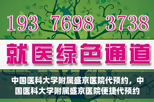 中国医科大学附属盛京医院代预约，中国医科大学附属盛京医院便捷代预约服务解析