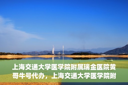 上海交通大学医学院附属瑞金医院黄哥牛号代办，上海交通大学医学院附属瑞金医院黄哥牛号预约代办服务