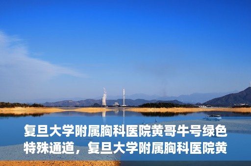 复旦大学附属胸科医院黄哥牛号绿色特殊通道，复旦大学附属胸科医院黄哥牛号，绿色特殊通道开启健康之门
