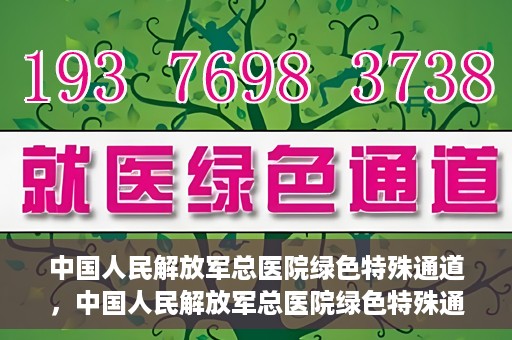 中国人民解放军总医院绿色特殊通道，中国人民解放军总医院绿色特殊通道，医疗服务的紧急通道与人文关怀的完美结合