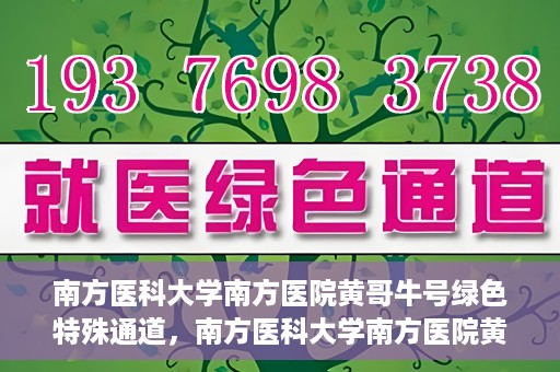 南方医科大学南方医院黄哥牛号绿色特殊通道，南方医科大学南方医院黄哥牛号，绿色特殊通道开启健康之门