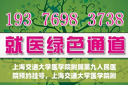 上海交通大学医学院附属第九人民医院预约挂号，上海交通大学医学院附属第九人民医院预约挂号指南，轻松挂号，便捷就医新体验