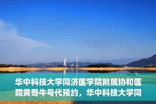华中科技大学同济医学院附属协和医院黄哥牛号代预约，华中科技大学同济医学院附属协和医院预约服务揭秘，黄哥牛号代预约解析