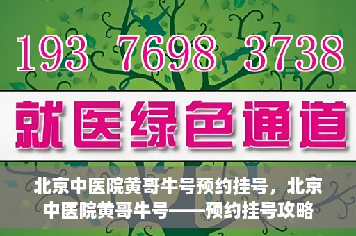 北京中医院黄哥牛号预约挂号，北京中医院黄哥牛号——预约挂号攻略