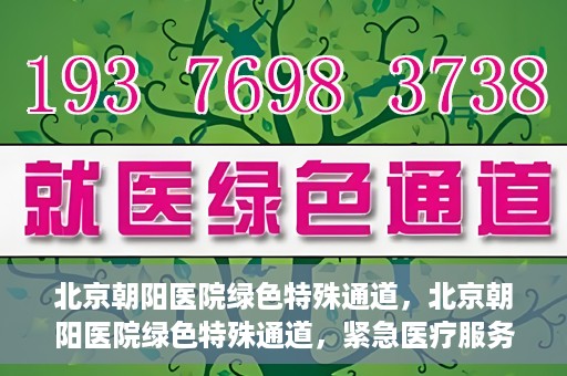北京朝阳医院绿色特殊通道，北京朝阳医院绿色特殊通道，紧急医疗服务的速度与温情