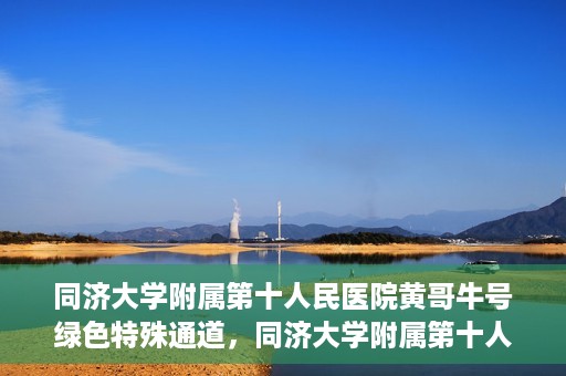 同济大学附属第十人民医院黄哥牛号绿色特殊通道，同济大学附属第十人民医院黄哥牛号，绿色特殊通道开启健康之门