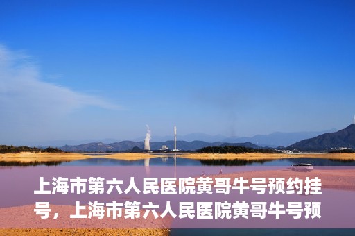 上海市第六人民医院黄哥牛号预约挂号，上海市第六人民医院黄哥牛号预约挂号攻略，轻松挂号，便捷就医体验
