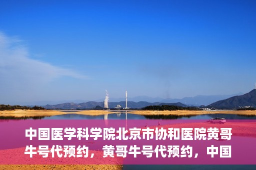 中国医学科学院北京市协和医院黄哥牛号代预约，黄哥牛号代预约，中国医学科学院北京市协和医院挂号新途径探索