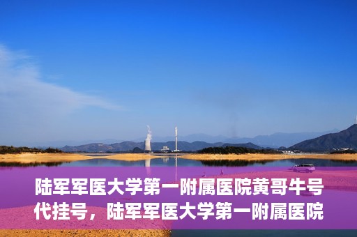 陆军军医大学第一附属医院黄哥牛号代挂号，陆军军医大学第一附属医院黄哥牛号助您轻松挂号就医