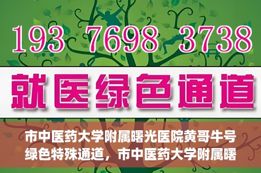 市中医药大学附属曙光医院黄哥牛号绿色特殊通道，市中医药大学附属曙光医院黄哥牛号，绿色特殊通道开启健康之门