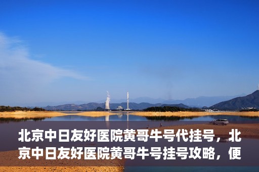北京中日友好医院黄哥牛号代挂号，北京中日友好医院黄哥牛号挂号攻略，便捷代挂号服务解析