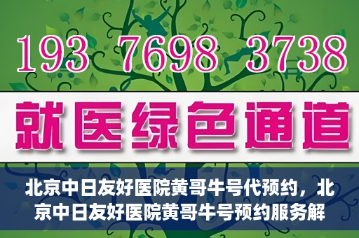 北京中日友好医院黄哥牛号代预约，北京中日友好医院黄哥牛号预约服务解析