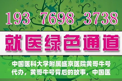 中国医科大学附属盛京医院黄哥牛号代办，黄哥牛号背后的故事，中国医科大学附属盛京医院的信赖之选