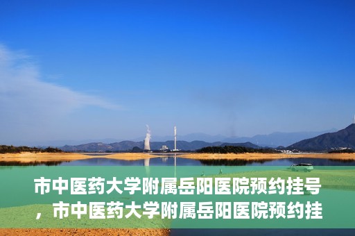 市中医药大学附属岳阳医院预约挂号，市中医药大学附属岳阳医院预约挂号攻略，便捷就医从这里开始