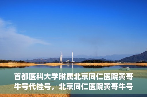 首都医科大学附属北京同仁医院黄哥牛号代挂号，北京同仁医院黄哥牛号代挂号服务解析