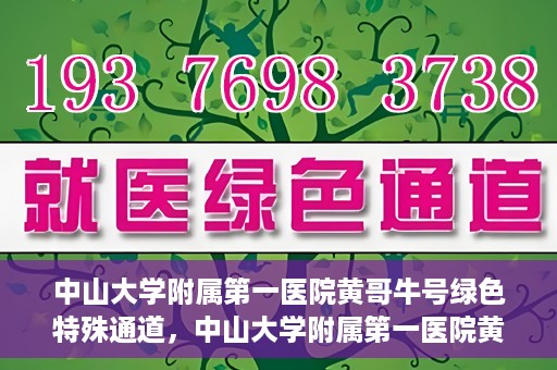 中山大学附属第一医院黄哥牛号绿色特殊通道，中山大学附属第一医院黄哥牛号，绿色特殊通道开启健康之门