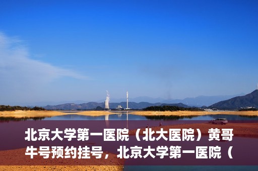 北京大学第一医院（北大医院）黄哥牛号预约挂号，北京大学第一医院（北大医院）黄哥牛号，预约挂号攻略