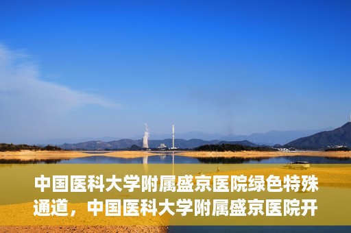 中国医科大学附属盛京医院绿色特殊通道，中国医科大学附属盛京医院开通绿色特殊通道，助力患者快速就医