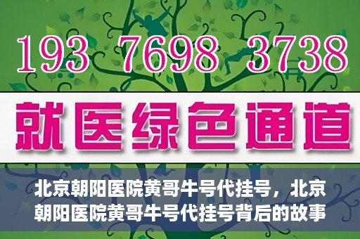 北京朝阳医院黄哥牛号代挂号，北京朝阳医院黄哥牛号代挂号背后的故事揭秘