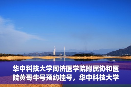 华中科技大学同济医学院附属协和医院黄哥牛号预约挂号，华中科技大学同济医学院附属协和医院黄哥牛号预约挂号攻略解析