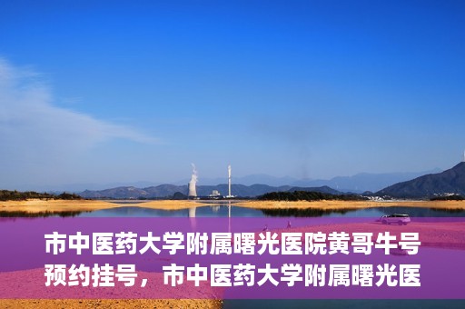 市中医药大学附属曙光医院黄哥牛号预约挂号，市中医药大学附属曙光医院黄哥牛号，预约挂号攻略