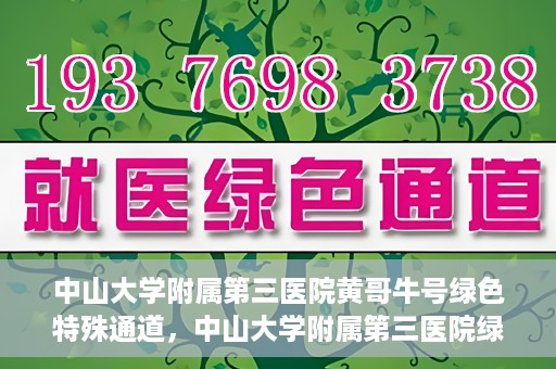 中山大学附属第三医院黄哥牛号绿色特殊通道，中山大学附属第三医院绿色特殊通道，黄哥牛号引领医疗创新之路