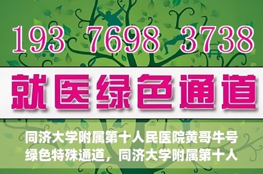 同济大学附属第十人民医院黄哥牛号绿色特殊通道，同济大学附属第十人民医院黄哥牛号，绿色特殊通道开启健康之门