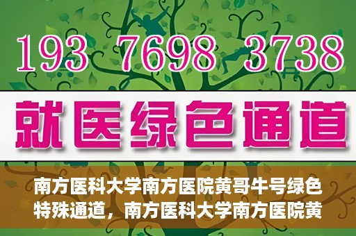 南方医科大学南方医院黄哥牛号绿色特殊通道，南方医科大学南方医院黄哥牛号，绿色特殊通道开启健康之门