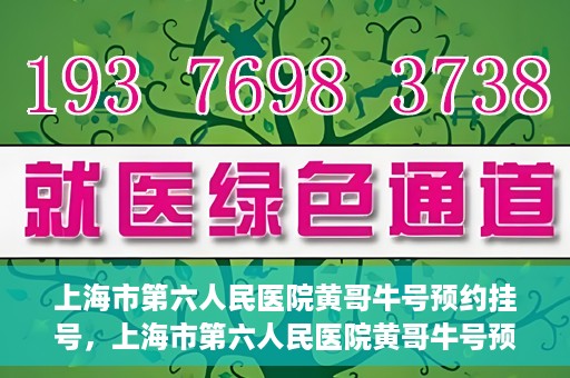 上海市第六人民医院黄哥牛号预约挂号，上海市第六人民医院黄哥牛号预约挂号攻略，轻松挂号，便捷就医体验