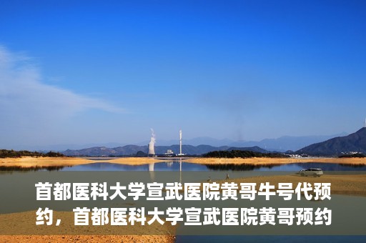 首都医科大学宣武医院黄哥牛号代预约，首都医科大学宣武医院黄哥预约代挂号服务解析