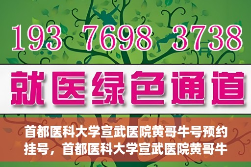 首都医科大学宣武医院黄哥牛号预约挂号，首都医科大学宣武医院黄哥牛号，预约挂号攻略