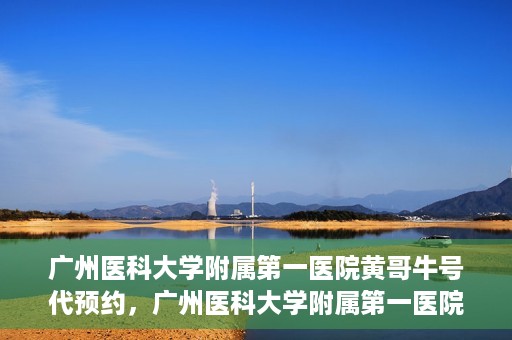 广州医科大学附属第一医院黄哥牛号代预约，广州医科大学附属第一医院黄哥名医号预约攻略
