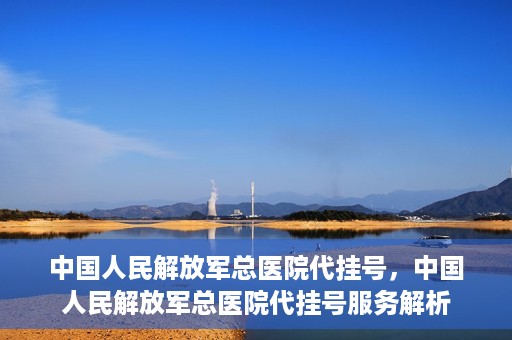 中国人民解放军总医院代挂号，中国人民解放军总医院代挂号服务解析