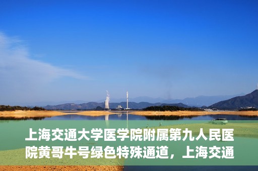 上海交通大学医学院附属第九人民医院黄哥牛号绿色特殊通道，上海交通大学医学院附属第九人民医院黄哥牛号，绿色特殊通道开启健康之门