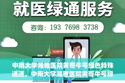中南大学湘雅医院黄哥牛号绿色特殊通道，中南大学湘雅医院黄哥牛号绿色特殊通道，医疗服务的创新实践与人文关怀的体现