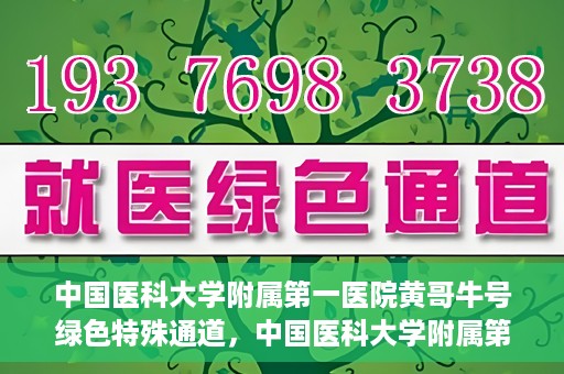 中国医科大学附属第一医院黄哥牛号绿色特殊通道，中国医科大学附属第一医院黄哥牛号，绿色特殊通道的开启与探索