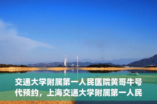 交通大学附属第一人民医院黄哥牛号代预约，上海交通大学附属第一人民医院黄哥预约挂号攻略，便捷预约，轻松就医