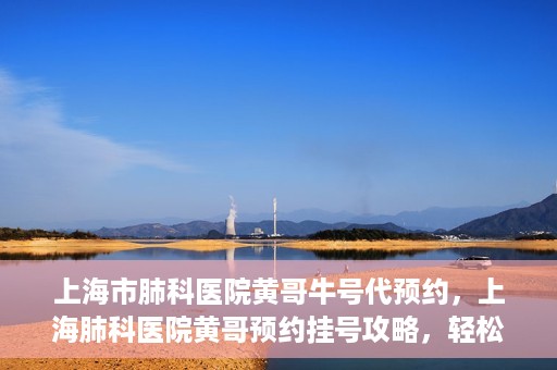 上海市肺科医院黄哥牛号代预约，上海肺科医院黄哥预约挂号攻略，轻松预约牛号