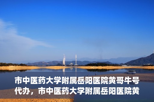 市中医药大学附属岳阳医院黄哥牛号代办，市中医药大学附属岳阳医院黄哥牛号代办，一站式医疗服务的信赖之选