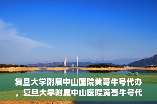 复旦大学附属中山医院黄哥牛号代办，复旦大学附属中山医院黄哥牛号代办，权威医疗资源的深度解读与便捷服务体验