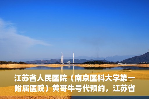 江苏省人民医院（南京医科大学第一附属医院）黄哥牛号代预约，江苏省人民医院（南京医科大学第一附属医院）黄哥牛号预约服务解析
