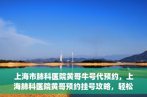 上海市肺科医院黄哥牛号代预约，上海肺科医院黄哥预约挂号攻略，轻松预约牛号
