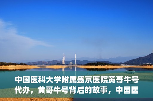 中国医科大学附属盛京医院黄哥牛号代办，黄哥牛号背后的故事，中国医科大学附属盛京医院的信赖之选