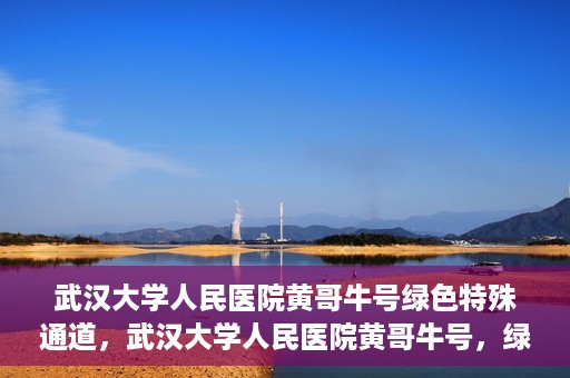 武汉大学人民医院黄哥牛号绿色特殊通道，武汉大学人民医院黄哥牛号，绿色特殊通道开启