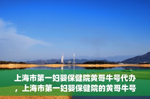 上海市第一妇婴保健院黄哥牛号代办，上海市第一妇婴保健院的黄哥牛号代办服务解析